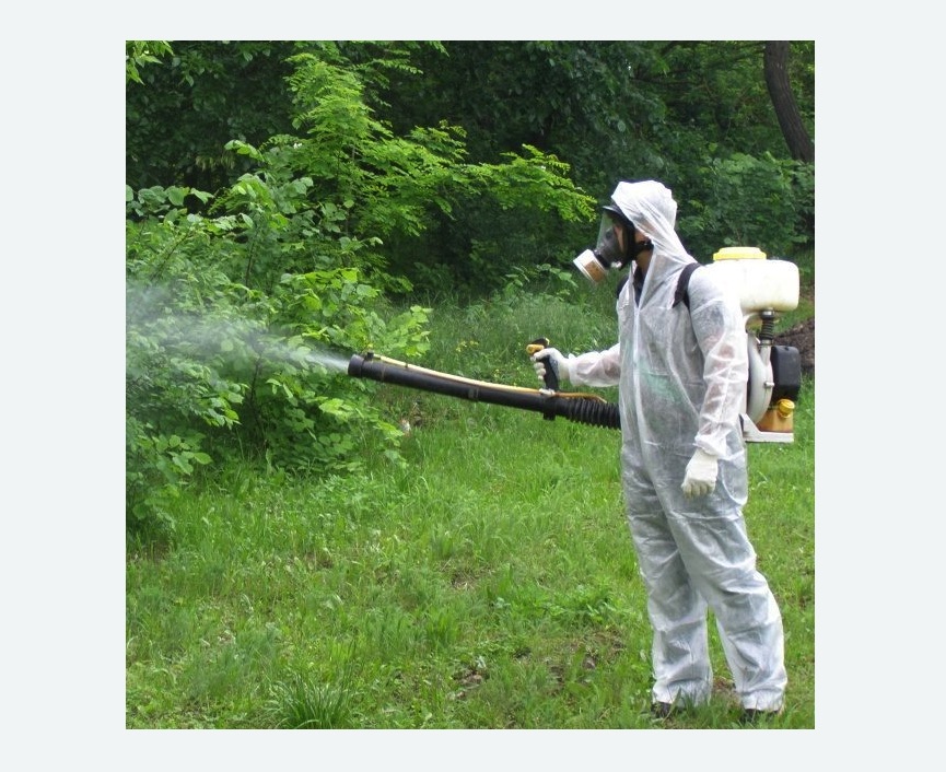 обработка территории от клещей Новочеркасская метро Спб