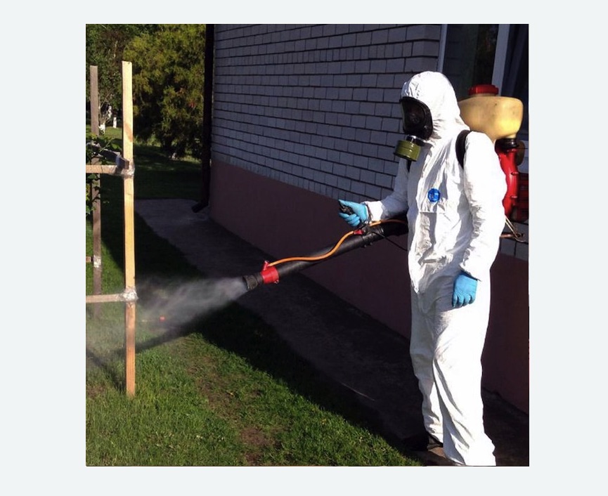 травля клещей на участке Новочеркасская метро Спб