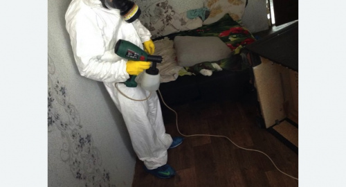 Обработка квартир от насекомых Новочеркасская метро Спб