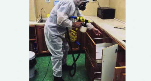 Дезинсекция квартиры. Новочеркасская