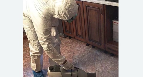 Уничтожение тараканов в квартире. Новочеркасская