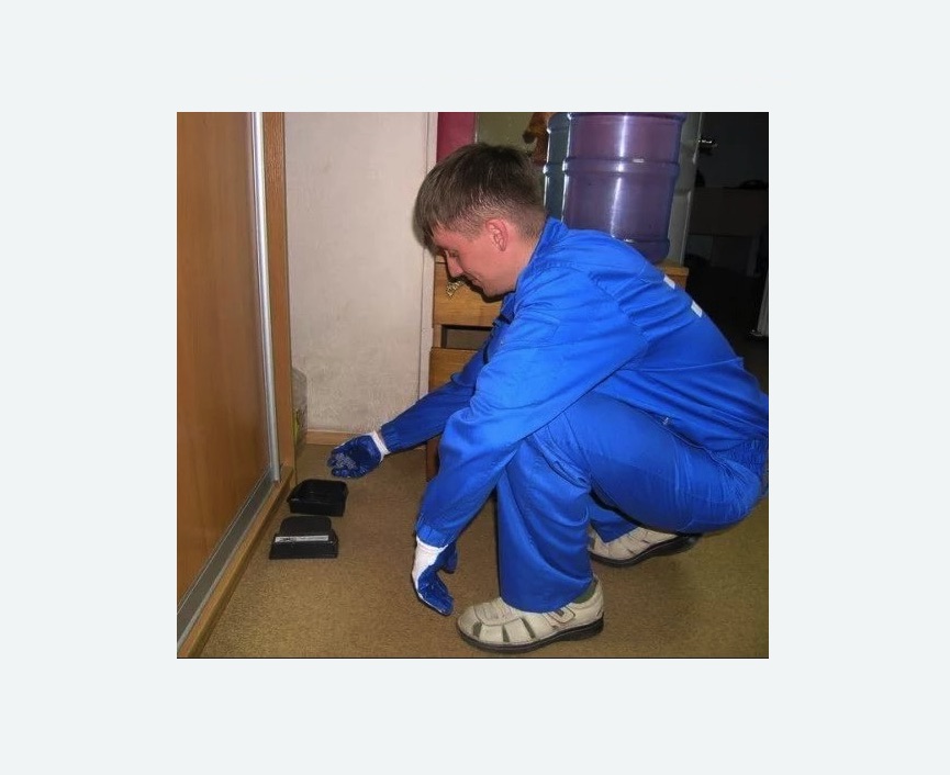 Дератизация крыс Дератизация крыс Новочеркасская метро Спб