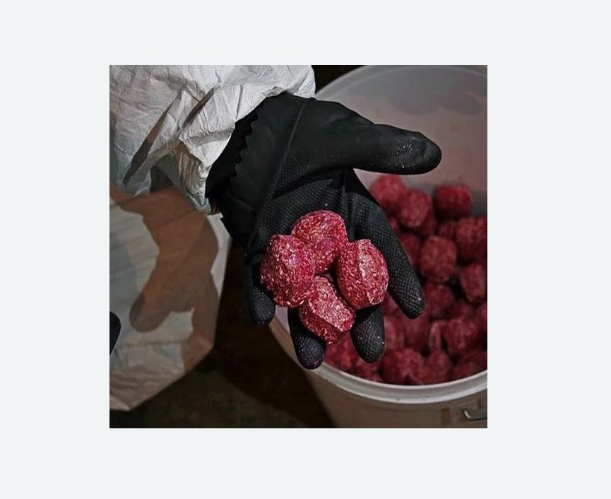 Обработка от крыс Обработка от крыс Новочеркасская метро Спб