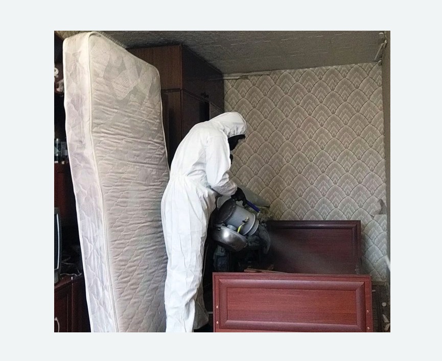 дезинфекция от клопов Новочеркасская метро Спб