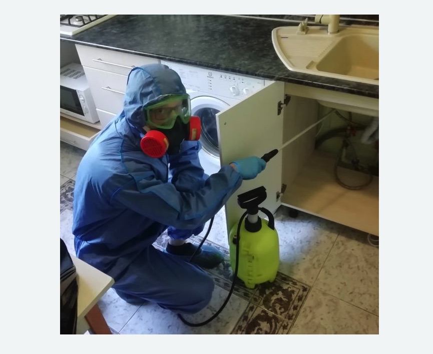 обработка от муравьев в квартире обработка от муравьев в квартире Новочеркасская метро Спб