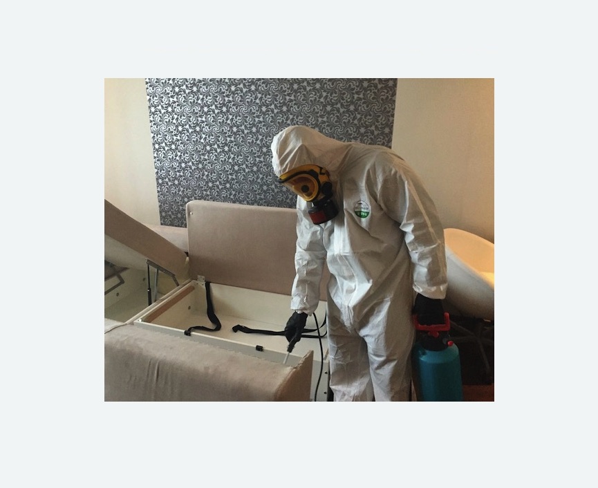 уничтожение клопов в квартире Новочеркасская метро Спб