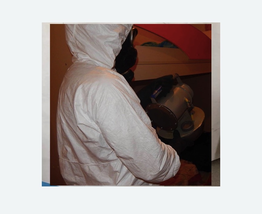 Дезинфекция от муравьев Дезинфекция от муравьев Новочеркасская метро Спб