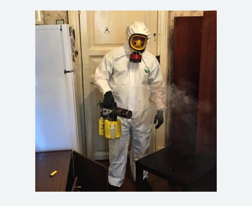 уничтожение муравьев в квартире уничтожение муравьев в квартире Новочеркасская метро Спб